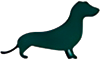 Perro