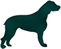 Perro